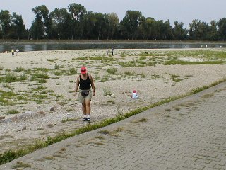 Nur die Hälfte des Flussbettes gefüllt: Niedrigwasser am Rhein bei Au im Jahr 2003