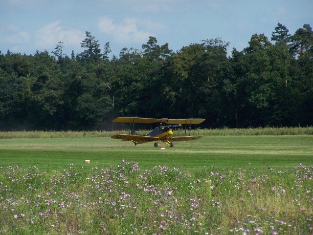 Tiger Moth Landung Flugplatz Rheinstetten