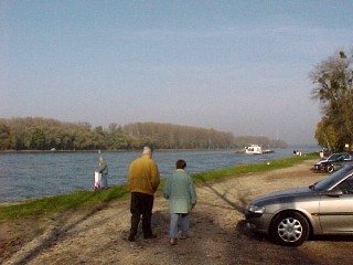 Besuch am Rhein bei Neuburgweier
