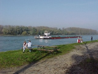 Schiff auf dem Rhein bei Neuburgweier