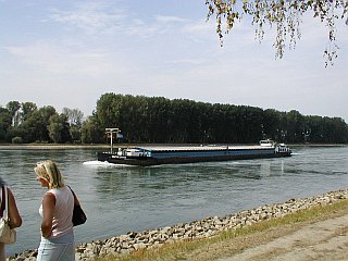 Schiff auf dem Rhein bei Neuburgweier